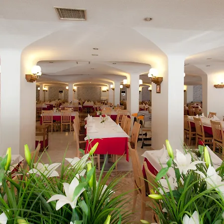 Resort Febeach
